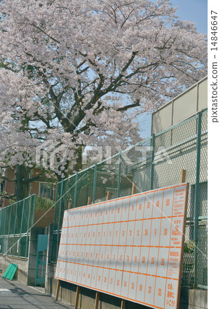 東京都議會選舉 14846647