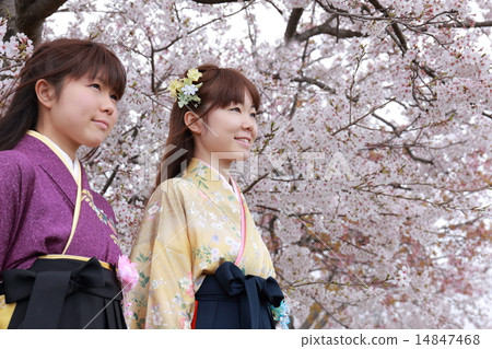 10.20 Japanese woman hakama in her twenties 14847468