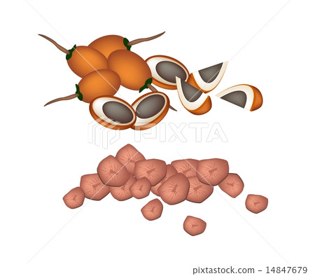 Ripe Areca Nut Fruit on White Background Ripe Areca Nut Fruit on White Background 14847679