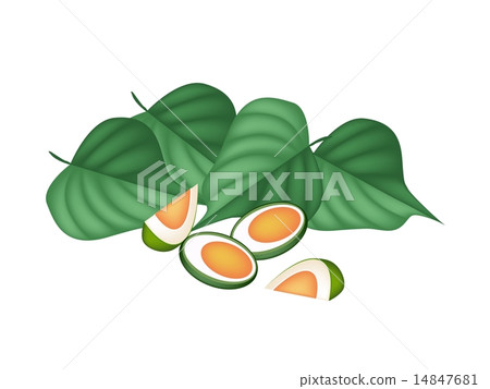 Areca Nuts and Betel Leaves on White Background 14847681