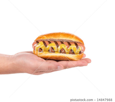 hotdog with mustard 14847988