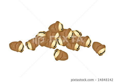 A Stack of Dried Broad Beans or European Beans 14848142