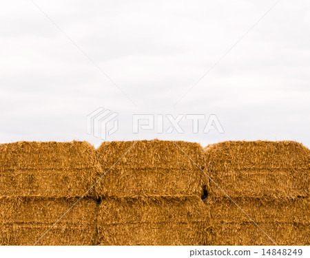 Six stacked yellow hay bales on overcast sky 14848249