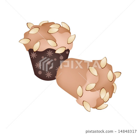Two Muffins with Almonds on White Background Two Muffins with Almonds on White Background 14848317