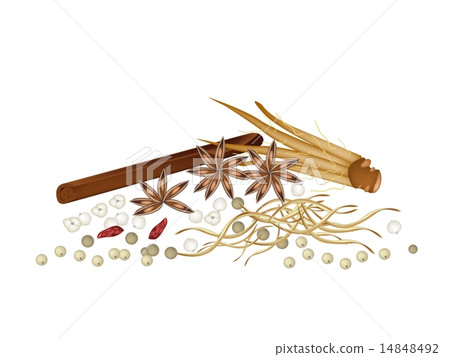 A Heap of Dried Chinese Spices on White Background A Heap of Dried Chinese Spices on White Background 14848492