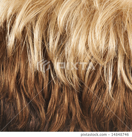 Hair fragment as a background composition 14848746