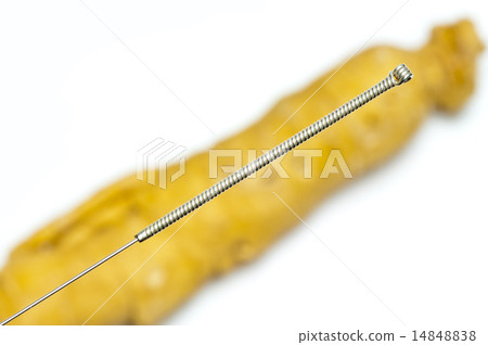 acupuncture needle acupuncture needle 14848838