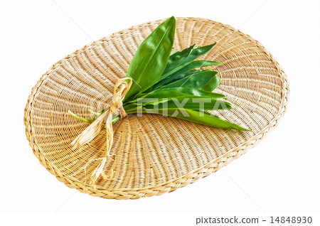 wild garlic wild garlic 14848930