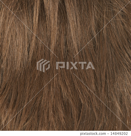 Hair fragment as a background composition 14849202