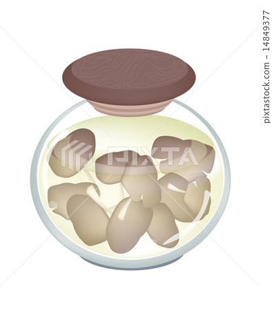 A Jar of Delicious Marinated Oyster Mushrooms A Jar of Delicious Marinated Oyster Mushrooms 14849377