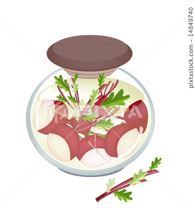 A Jar of Pickled Radishes with Malt Vinegar 14849740