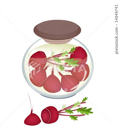 Jar of Pickled Radishes Or Beets with Malt Vinegar Jar of Pickled Radishes Or Beets with Malt Vinegar 14849741
