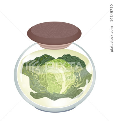 A Jar of Delicious Pickled Savoy Cabbage 14849750