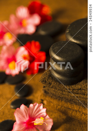 Beauty Beauty 14849934