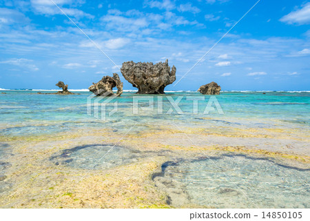 Koryu Island Pot Hole 14850105