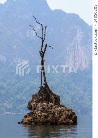 Khao sok park, mountain and lake 14850205