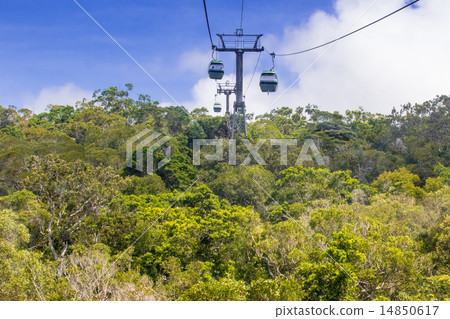 Wet Tropics of Queensland 14850617