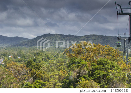 Wet Tropics of Queensland 14850618