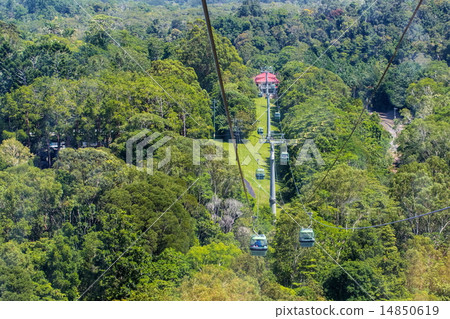 Wet Tropics of Queensland 14850619