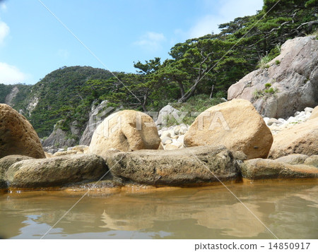Japanese pine tree of Izu · Shimanejima from Shimoshazu hot spring outdoor hot spring 14850917