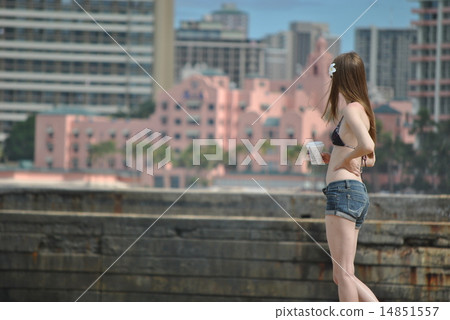 威基基海灘女孩 14851557