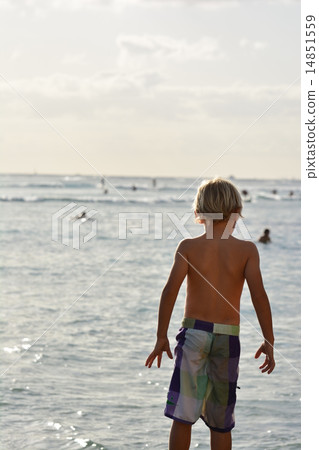 威基基海灘男孩 14851559