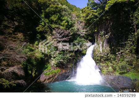 Katsuhe Kawazu Nanaki Otaki 14859299