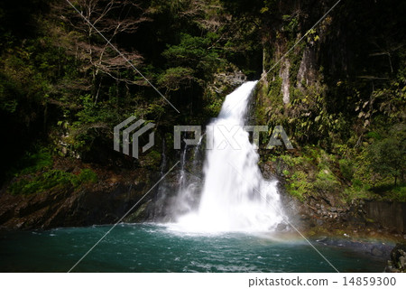 Kawazu Nanaki Otaki 14859300