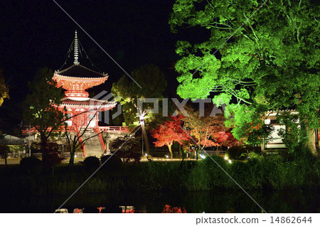 Daimyoji Light Up 14862644