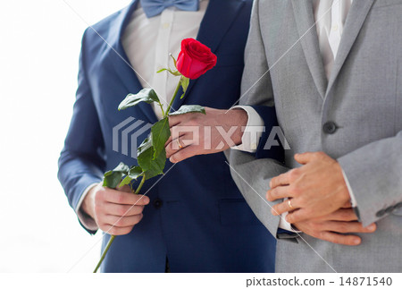 close up of happy male gay couple holding hands close up of happy male gay couple holding hands 14871540
