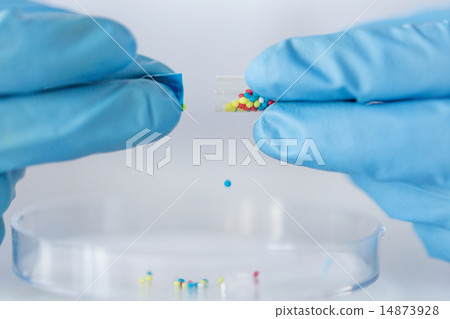 close up of scientist hands holding pill in lab 14873928