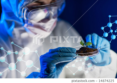 close up of scientist with plant and soil in lab close up of scientist with plant and soil in lab 14874225