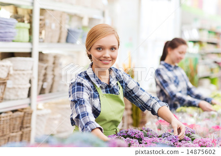 happy woman taking care of flowers in greenhouse happy woman taking care of flowers in greenhouse 14875602