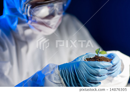 close up of scientist with plant and soil in lab 14876305