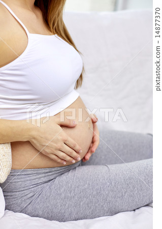 close up of pregnant woman with bare tummy at home 14877370