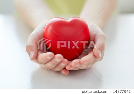 close up of child hands holding red heart 14877941
