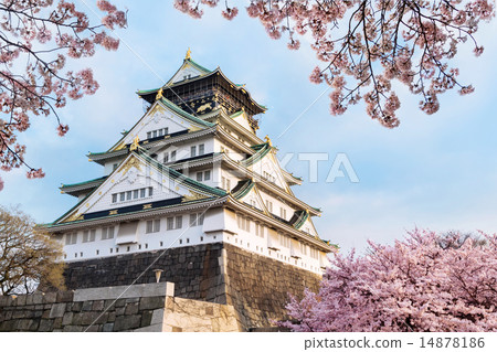 大阪城和櫻花 14878186