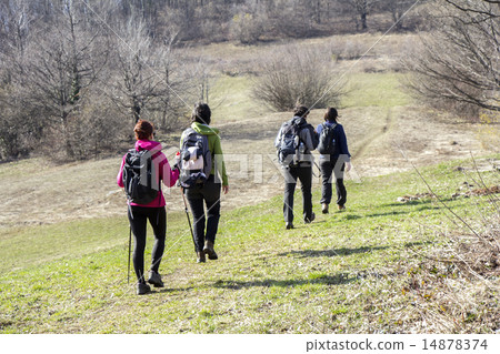 Hikers walking 14878374