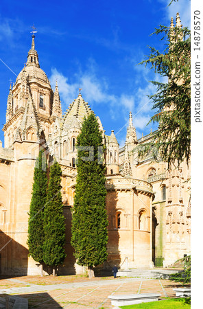 Old Cathedral of Salamanca 14878570