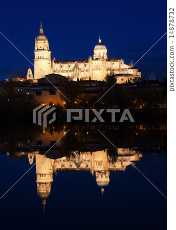 Salamanca Cathedral in night Salamanca Cathedral in night 14878732