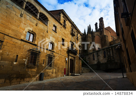 Old street and Cathedral of Plasencia 14878834