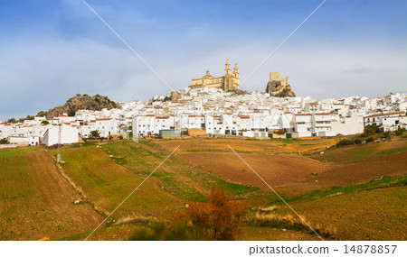 General view of old andalusian town. Olvera, Spain 14878857