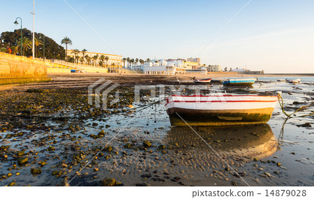 View of Caleta Beach View of Caleta Beach 14879028
