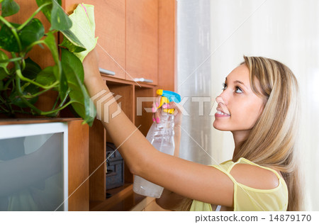Woman dusting wooden furniture 14879170