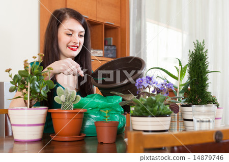 woman working with flowers in pots woman working with flowers in pots 14879746