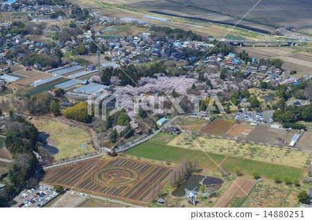 Akebonoyama Park 14880251