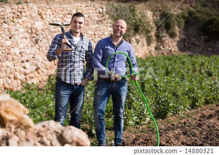 Farmers with spades at plantation 14880321