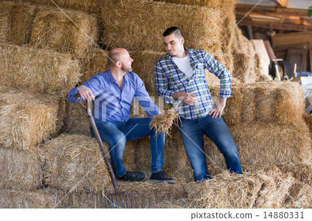 Two farmers working in barn Two farmers working in barn 14880331