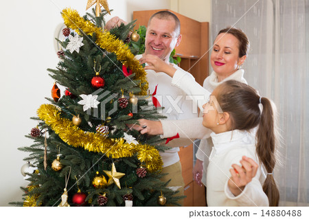 Family decorating Christmas tree 14880488