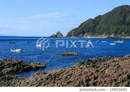 Autumn kelp fishing 14883600